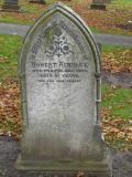 image of grave number 37591